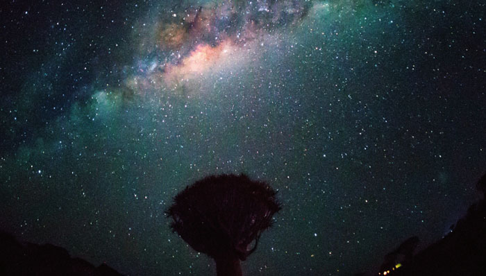 手机加单反镜头的效果,手机变单反外设镜头