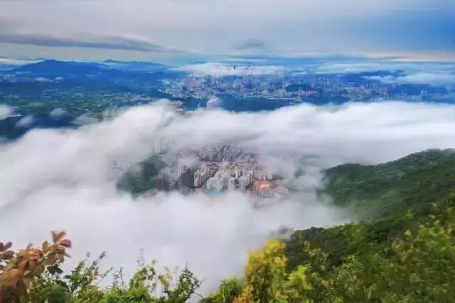 我叫深圳,这是我的个人简历,请查看!