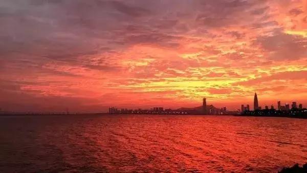 我叫深圳,这是我的个人简历,请查看!