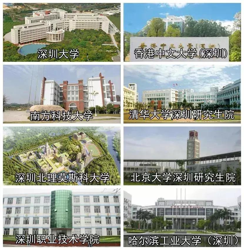 我叫深圳，这是我的个人简历，请查看！