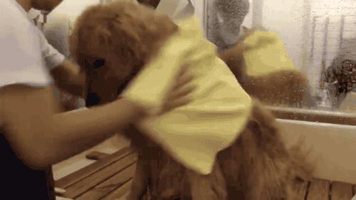 为什么游完泳嘴巴会变紫,游完泳晒得很黑怎么白回来