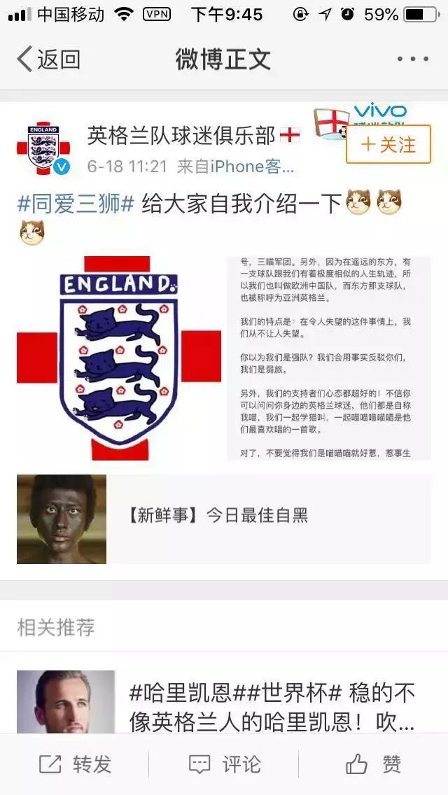 锦湖说世界杯：带你胡侃世界杯之三喵军团（爆笑图文，不容错过）