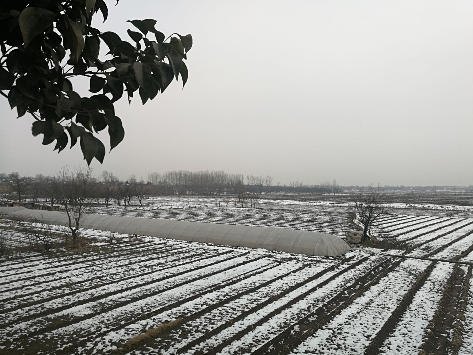 阎良山东人,阎良山东人过年