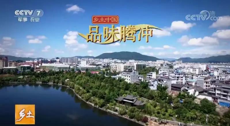 用臭油灯炖鸡拿陈年普洱茶煮饭：腾冲这些美味开启的是浓浓乡愁