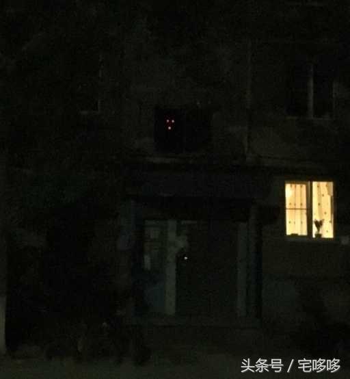 19张恐怖图片,19张不可思议的图片