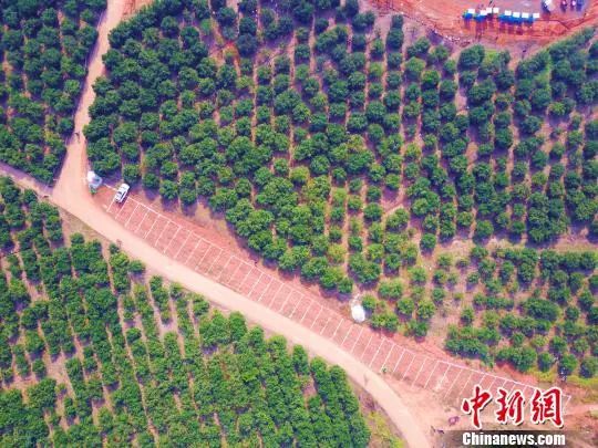 国学经典金句释义,国学经典醍醐灌顶豁然顿悟