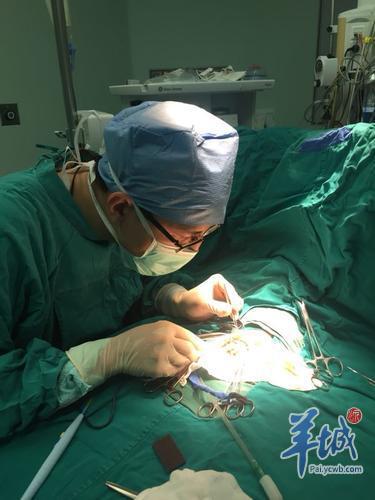 广东汕头女婴死亡,汕头1斤2两早产儿被救治