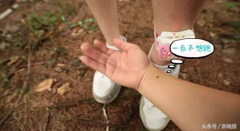 网红测评驱蚊的东西,打假测评达人驱蚊神器