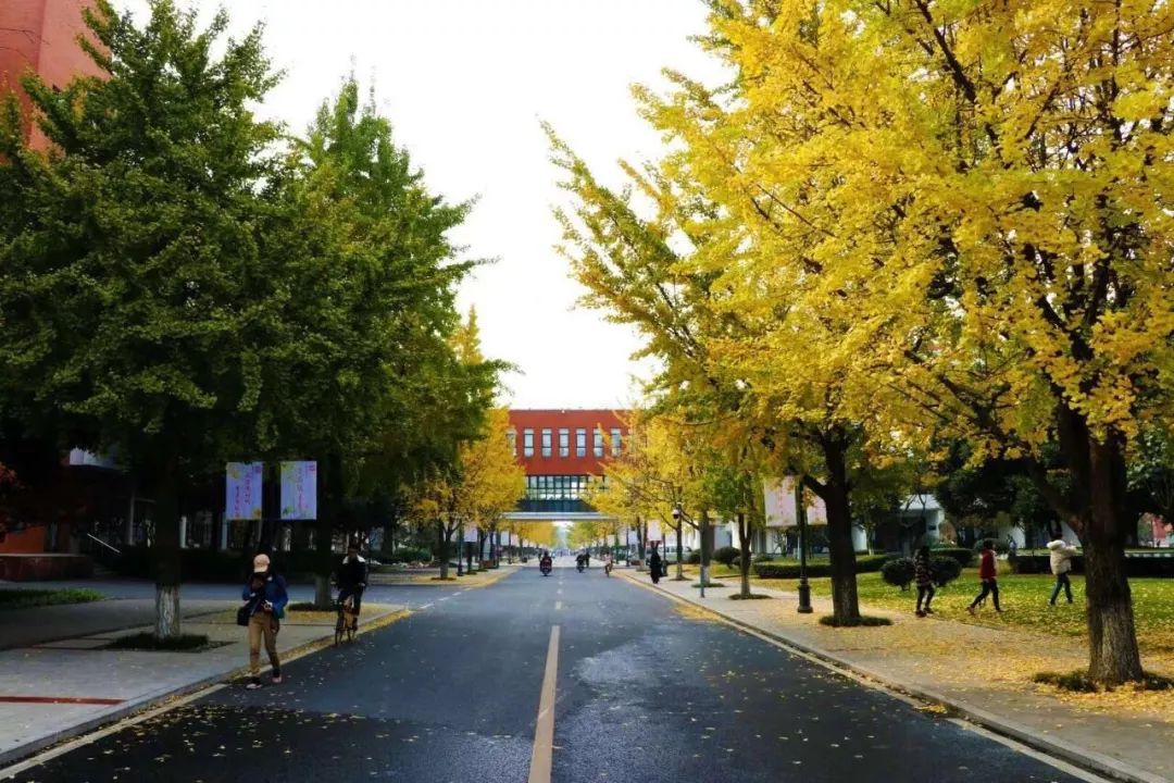 西南民族大学,西南民大网红校区