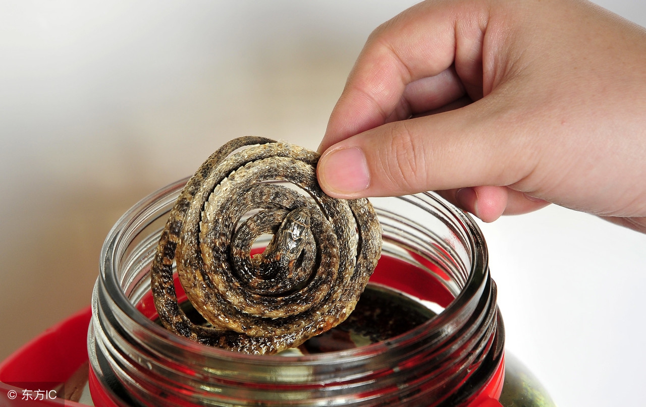 健脾益气祛湿泡酒中药,消食又补气血的泡酒方