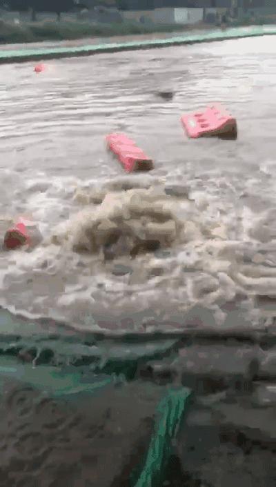 成都诺亚方舟最新新闻,成都诺亚方舟2020