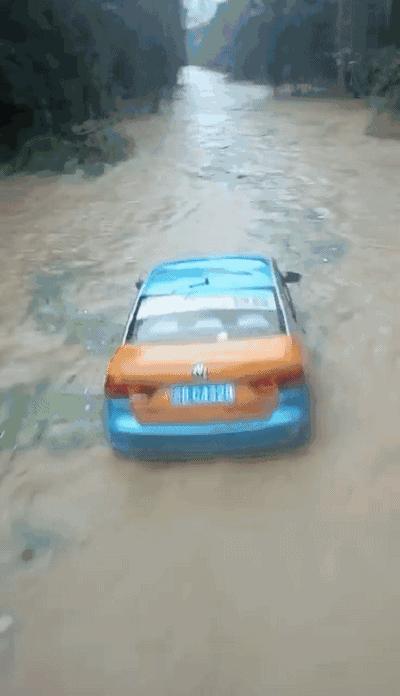 成都诺亚方舟最新新闻,成都诺亚方舟2020