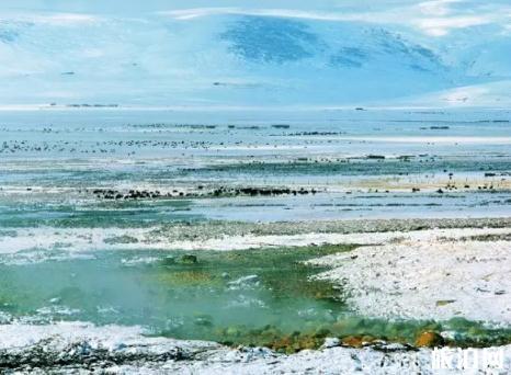 新龙县旅游景点海拔高度,新龙县风景