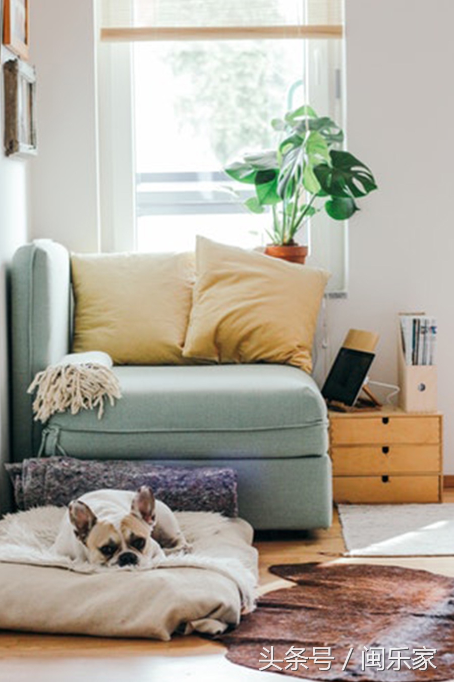 看完再也不纠结！挑一张合适的沙发不再羡慕别人家的客厅