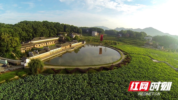 湖南赏荷,夏日赏荷好推荐打卡地