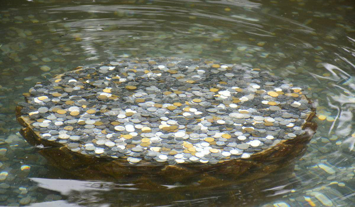 景区许愿池能有多少钱,景区许愿池的钱能捞吗