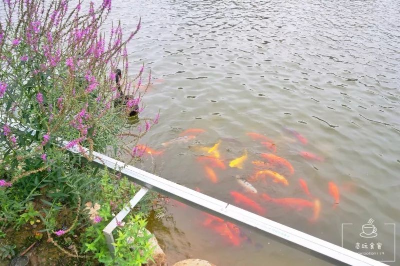 北京春晖园温泉度假酒店预订价格,春晖园温泉度假酒店门市价格多少