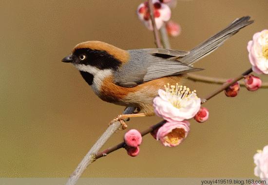 10月16，观音赐福了，快接住，谁打开谁幸福，福福福福福福福福