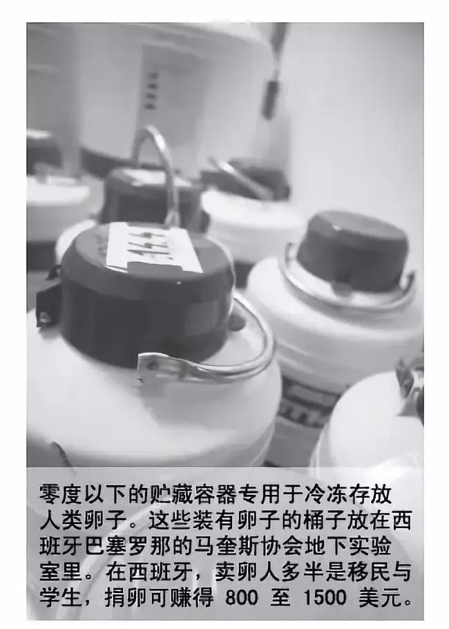 猎奇I世界人体交易秘史——一觉醒来肝和肾全没了