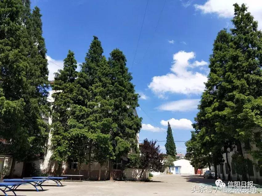 信阳七中2022届5班,信阳七中小班