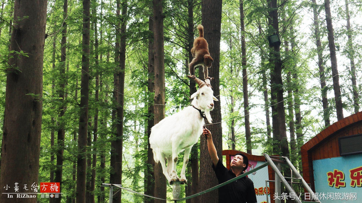 日照浴场海鲜攻略,日照海滨浴场旅游攻略