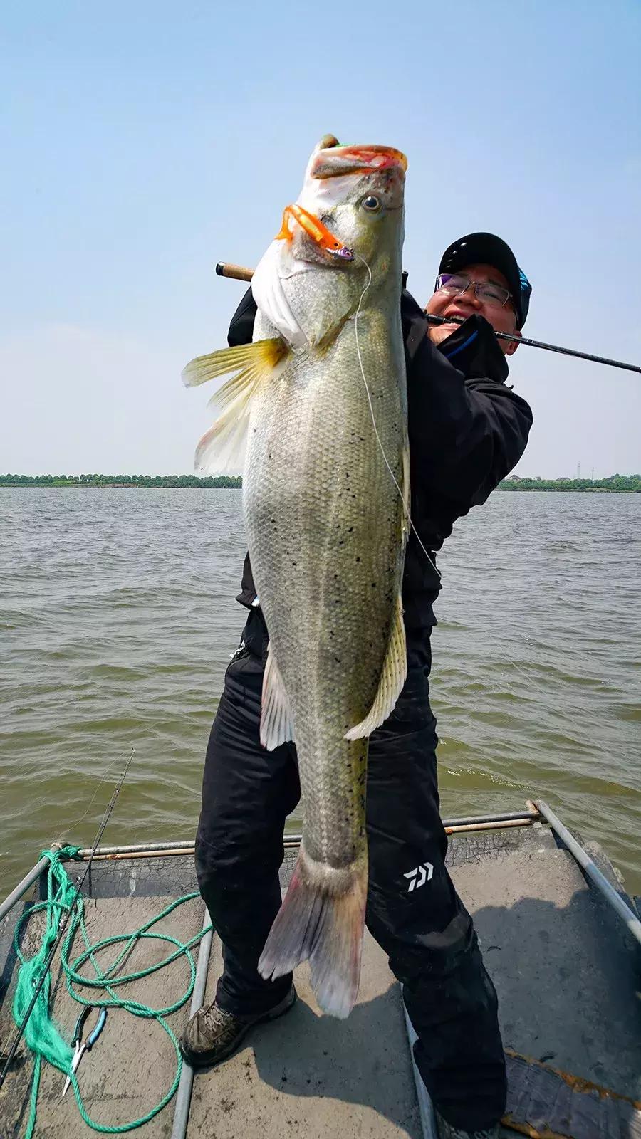 轻量怪物斗巨鲈｜追踪胡陈港水库的怪物2年终得一见