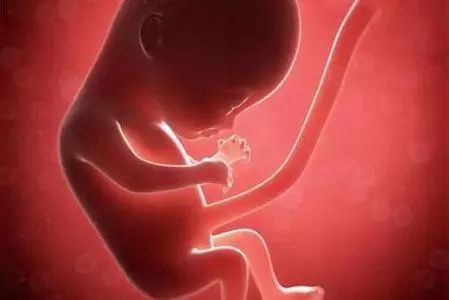 羊水这名字是怎么来的?它有什么神奇的用处?