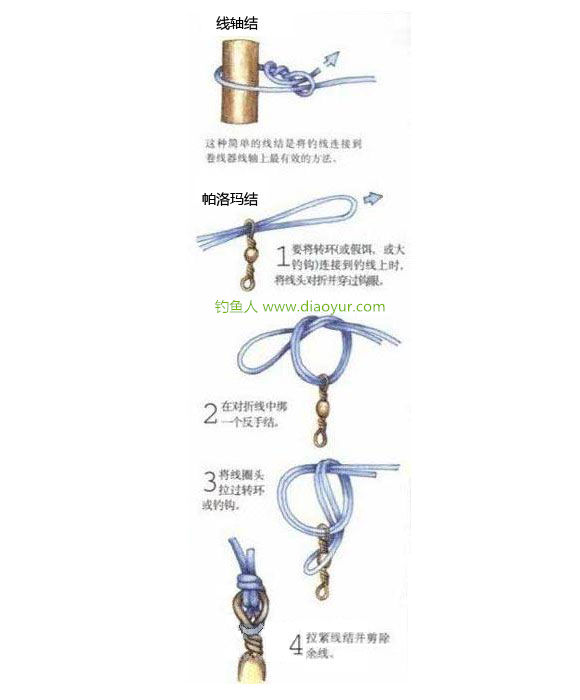 绑钩视频教程慢动作双钩,全网最全五种绑钩方法