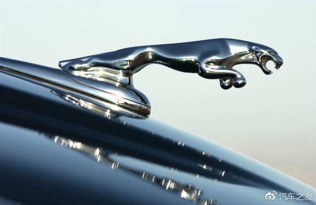 汽车车标冷知识搞笑,汽车车标冷知识大全100个