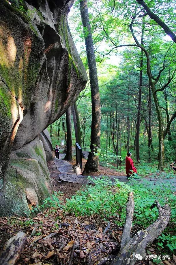 走进伊春的南大门,铁力给你一个不一样的夏天