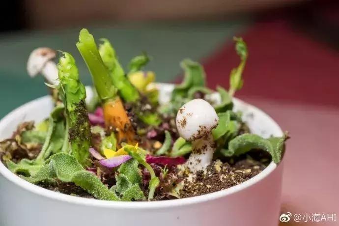 1分钟被8家美食新店种草！你需要一个胃和一部相机！