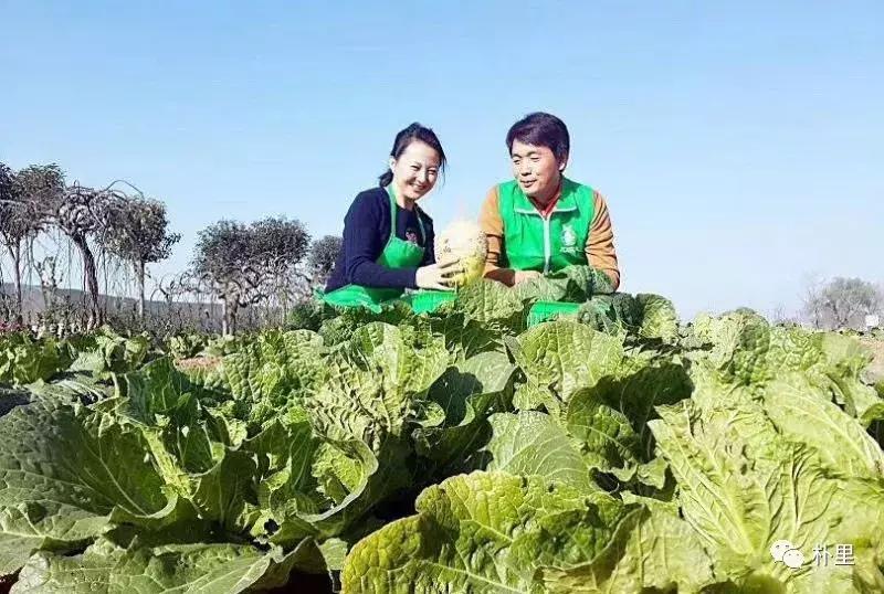 这个韩国欧巴11年前来西安，盖农场当农夫，还娶主播做媳妇儿