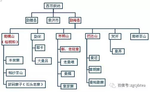 喝了好多年的普洱茶,喝了三年的普洱茶
