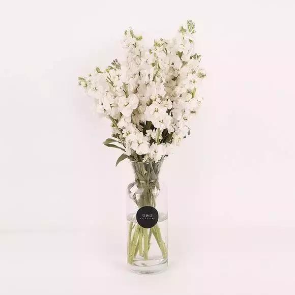 十二星座的专属玫瑰花是什么,十二星座喜欢什么玫瑰花