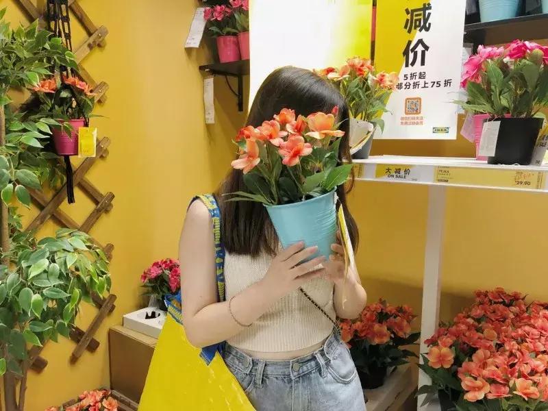 宜家冰淇淋8元,宜家全场五折