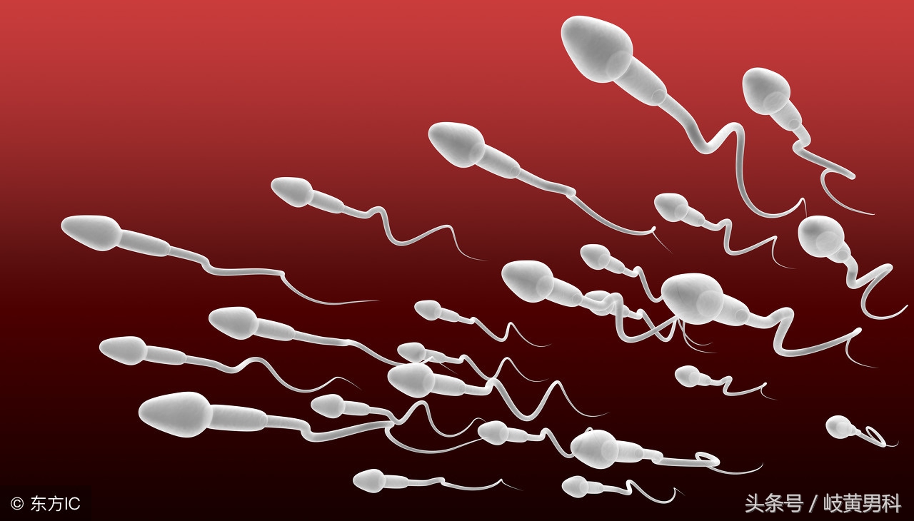 精子分析全过程,精子质量分析操作规程