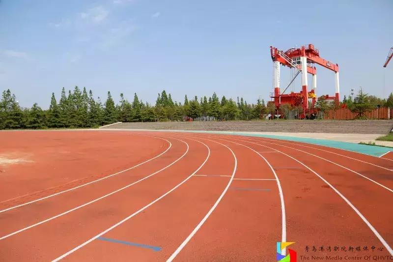 青岛港湾职业学院报考条件,青岛高考志愿填报推荐