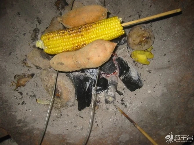 不同年龄段的童年回忆,你们的童年回忆是什么样