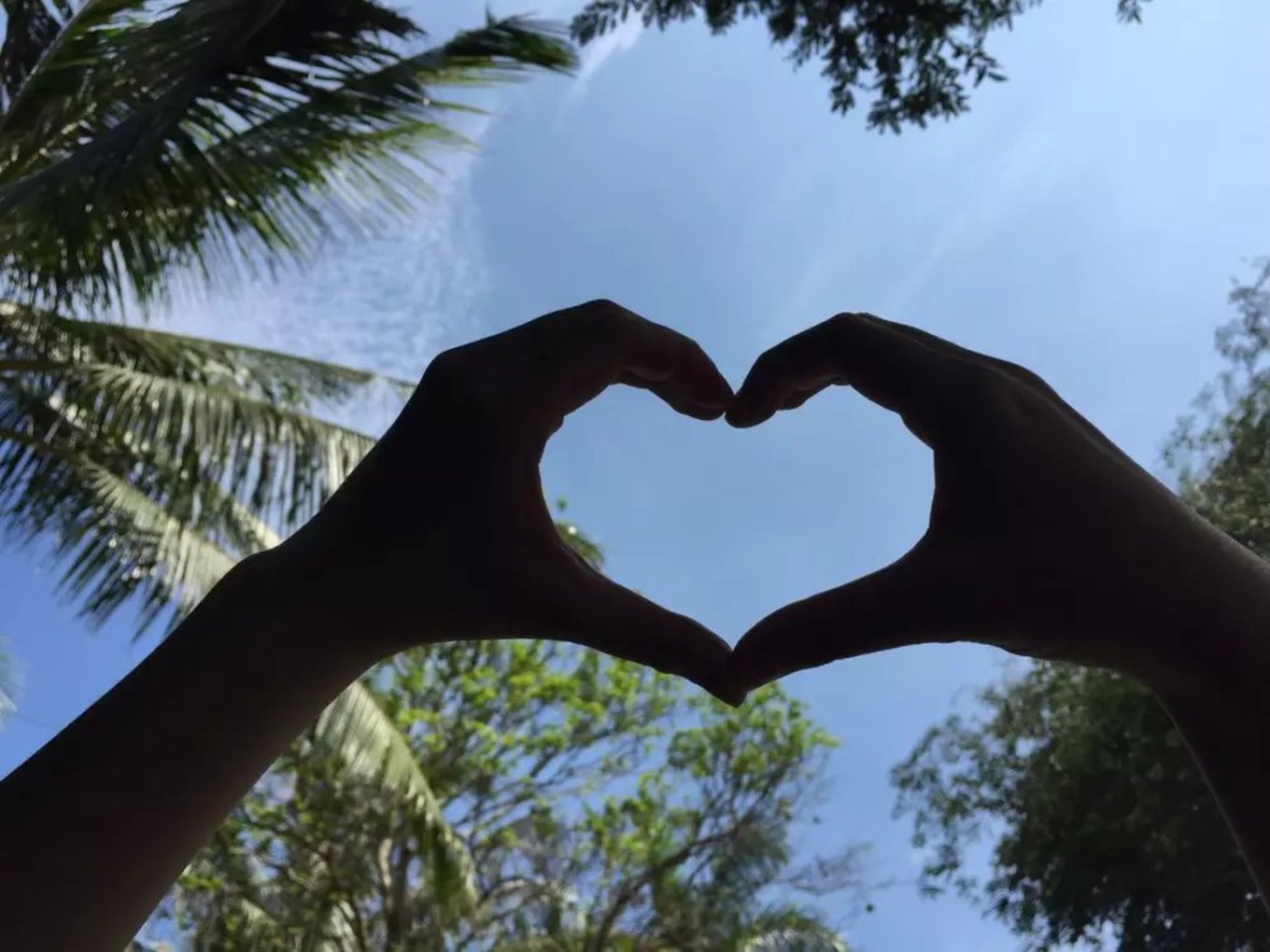 随心游三亚,闺蜜三亚自由行5天4晚价格明细