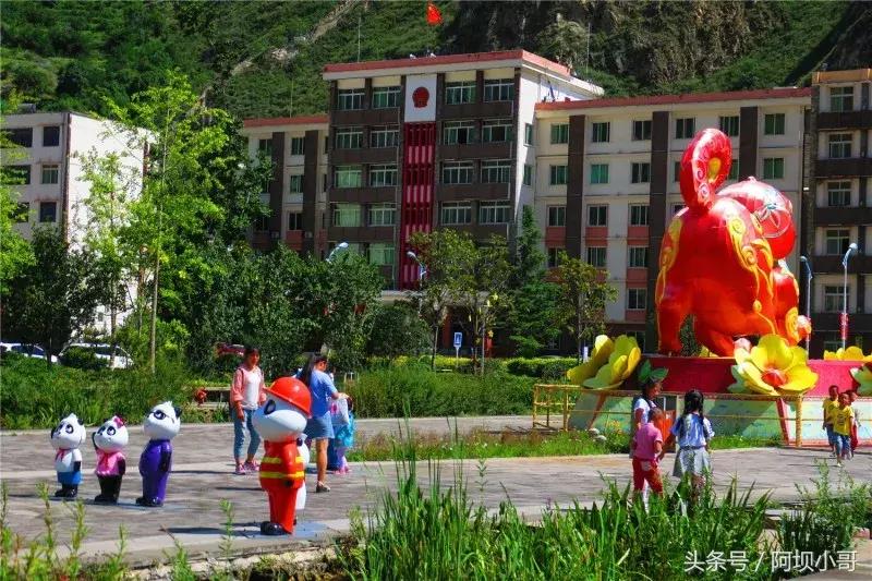 相约盛夏七月，康养汶川的李子熟了！花椒红了！