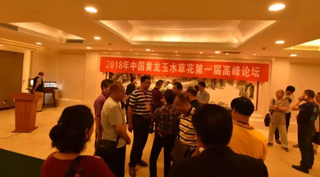 黄龙玉水草花亮点,顶级黄龙玉水草花