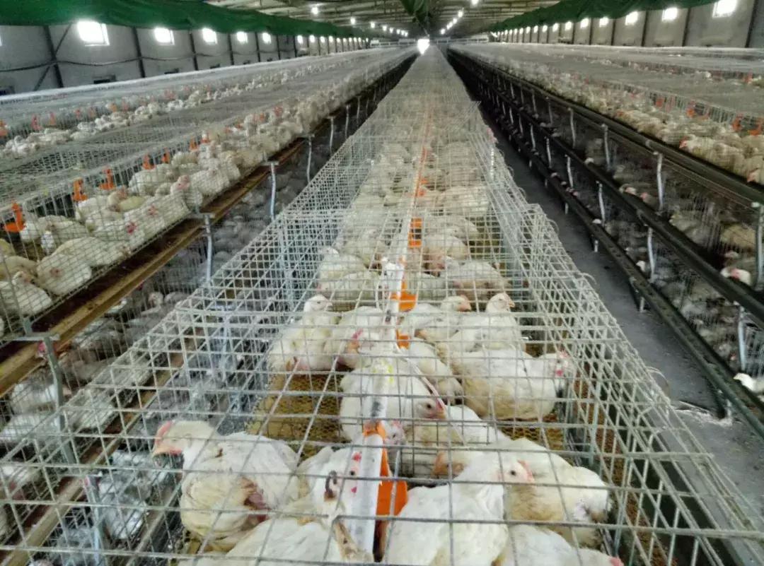 我的人生重新开始,我的人生改变完整版