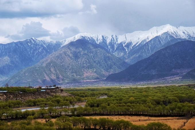 *藏西**，我历经十里桃花劫，只为寻心之所往