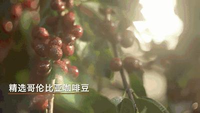 随身携带的小咖啡,随身携带的咖啡小型