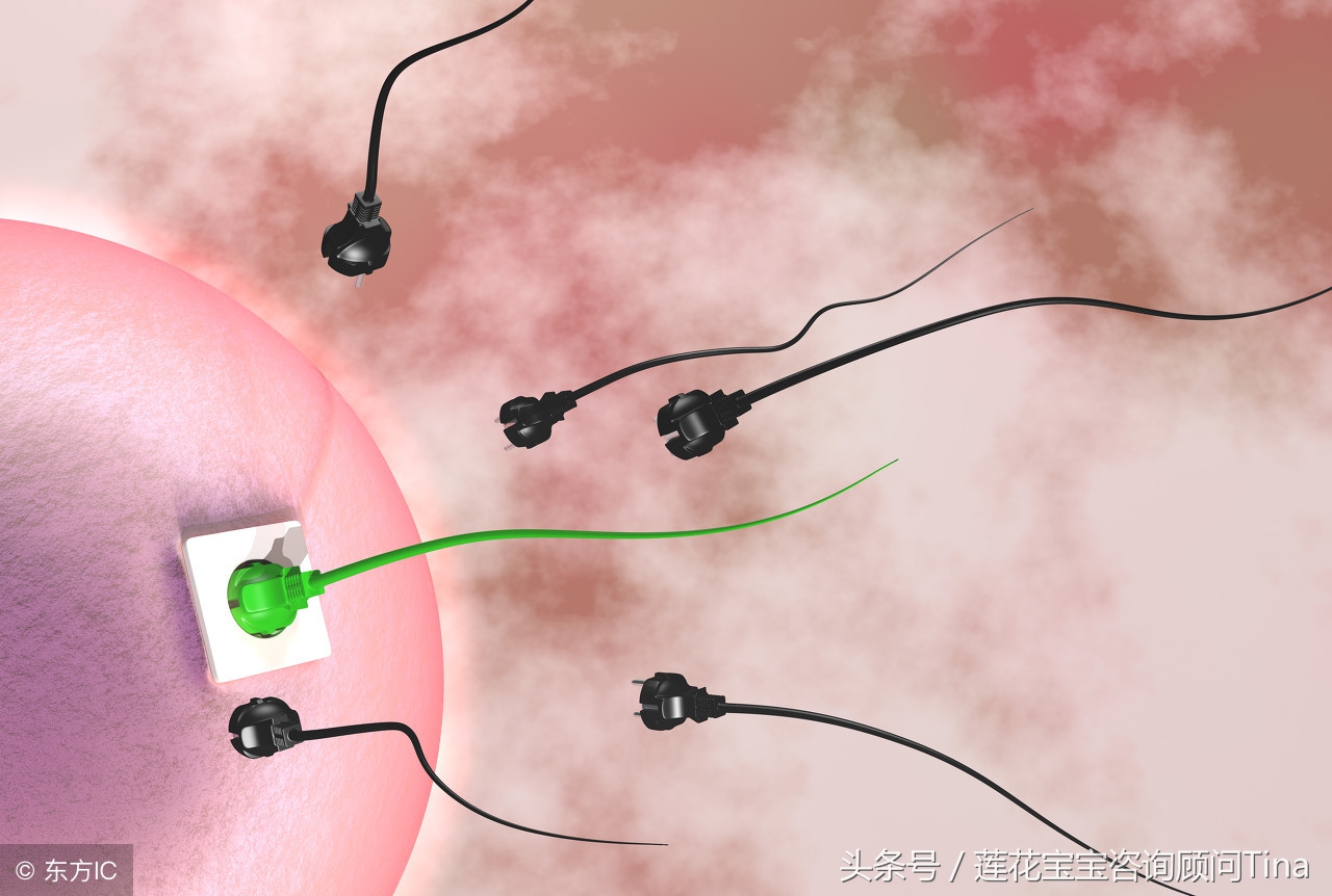抗精子抗体影响卵泡质量吗,抗精子抗体对男性的影响