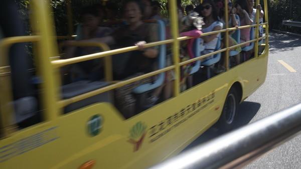 一个人的旅行由风决定,一个人的旅行头像