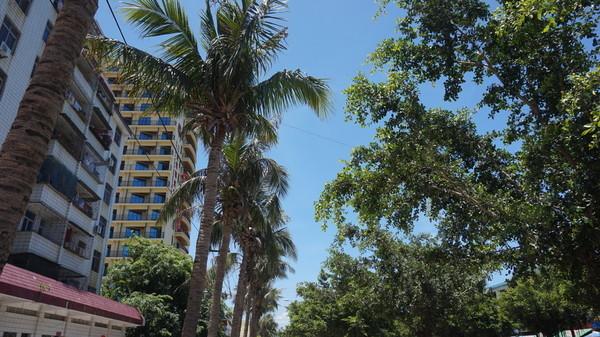 一个人的旅行由风决定,一个人的旅行头像