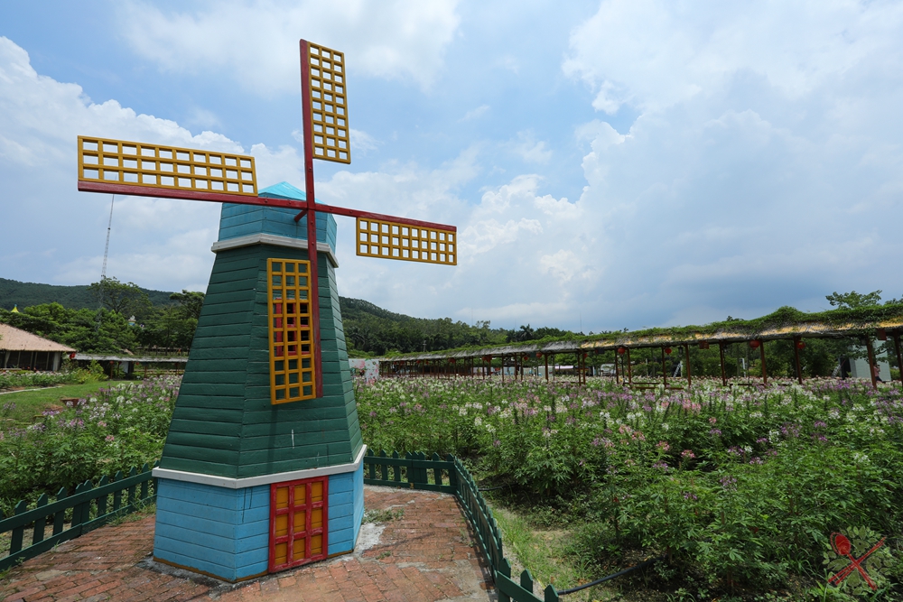 暑假带孩子逛公园,带孩子玩跳楼