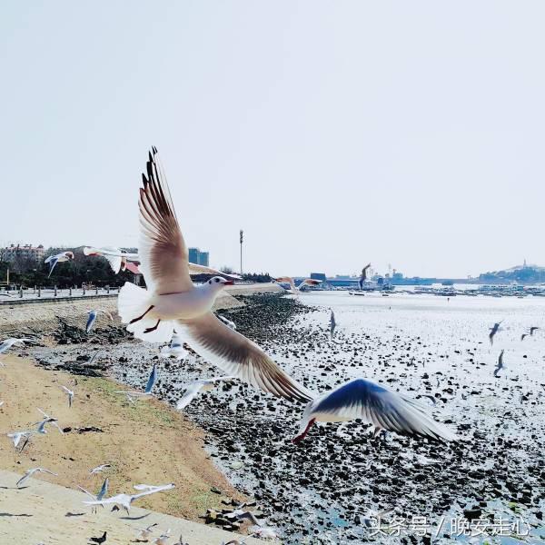 员工晨会分享正能量5分钟,晨会员工分享正能量一段话及感悟