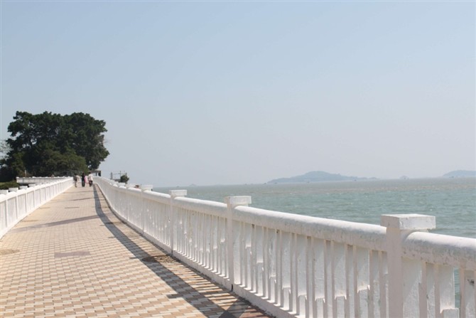 厦门旅游的必备攻略,厦门游玩攻略自由行一天夏天